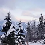Rodinny Mezonetovy Vetrak 公寓 Dolní Morava