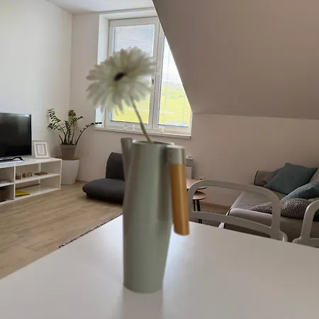 Apartment Rodinny Mezonetovy Vetrak