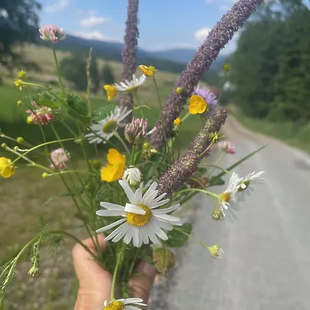 Rodinny Mezonetovy Vetrak