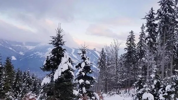Rodinny Mezonetovy Vetrak Apartment Dolni Morava