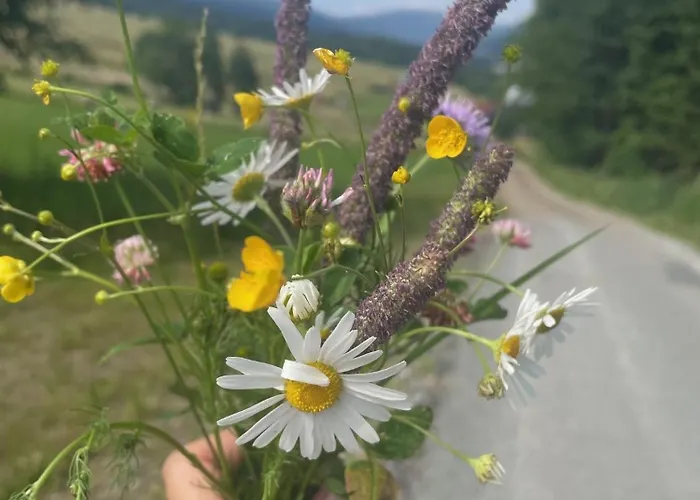 Rodinny Mezonetovy Vetrak
